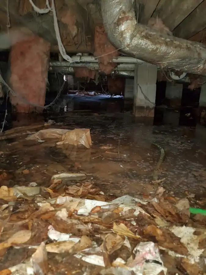 Crawl space flood assessment for Leak Detection & Repair in Pierre